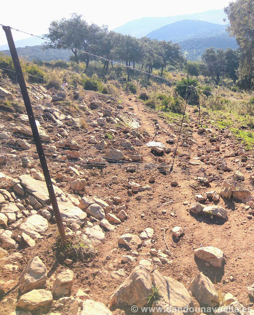 Alambrada a atravesar en la ruta del Terril