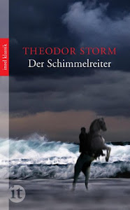 Der Schimmelreiter: Novelle (insel taschenbuch)