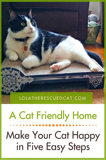 Cat Friendly Home Pinterest Graphic