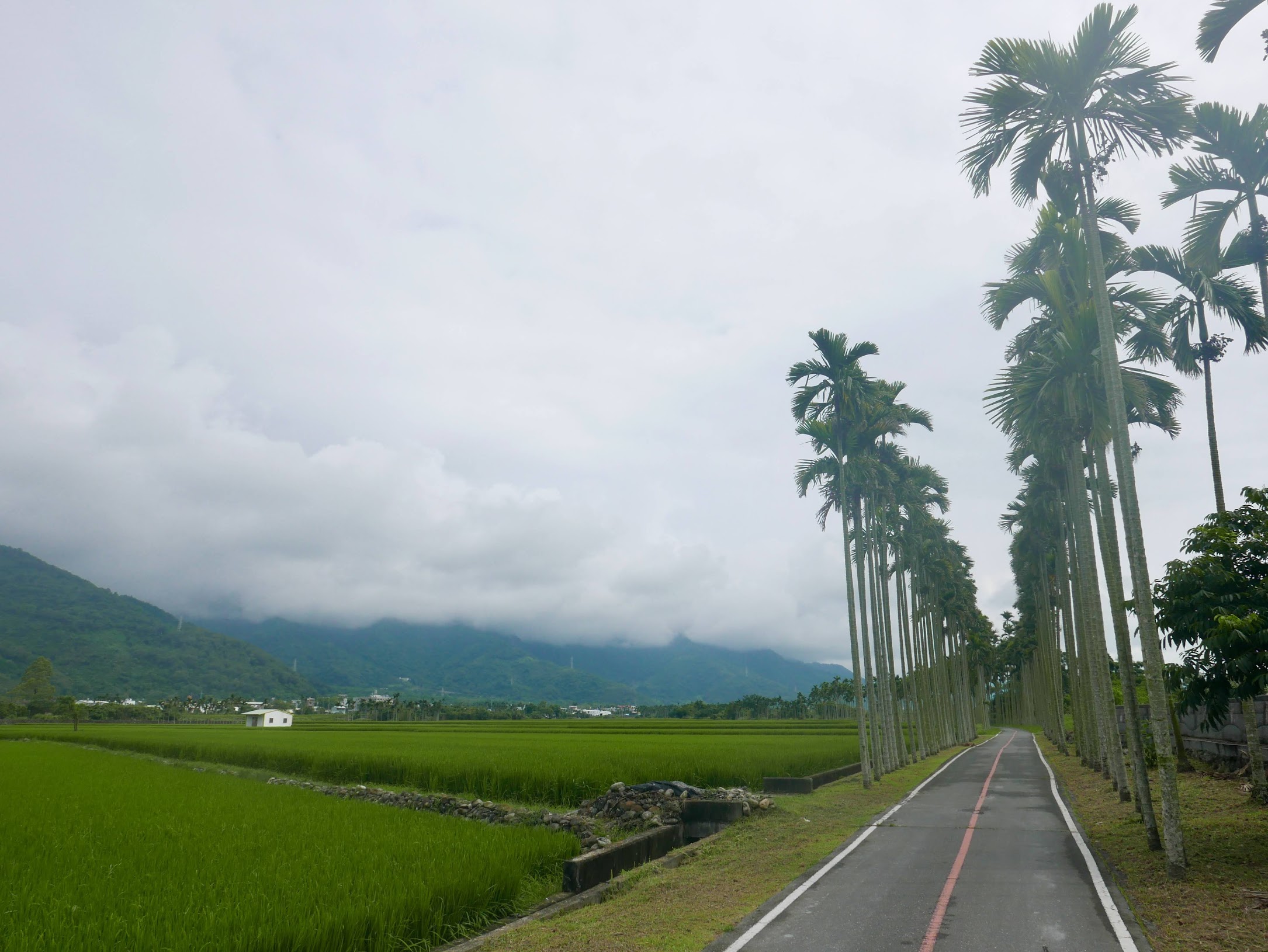 台東縣關山鎮 關山自行車道