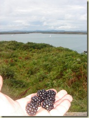 Moras