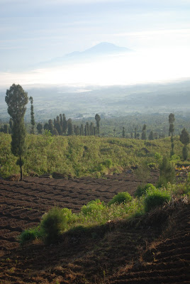 Obyek Wisata Alam Posong Temanggung