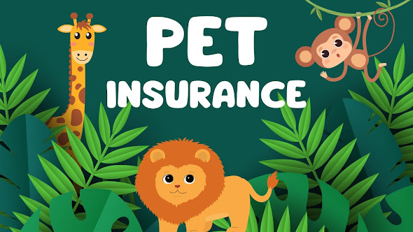Pet -Insurance -Policies