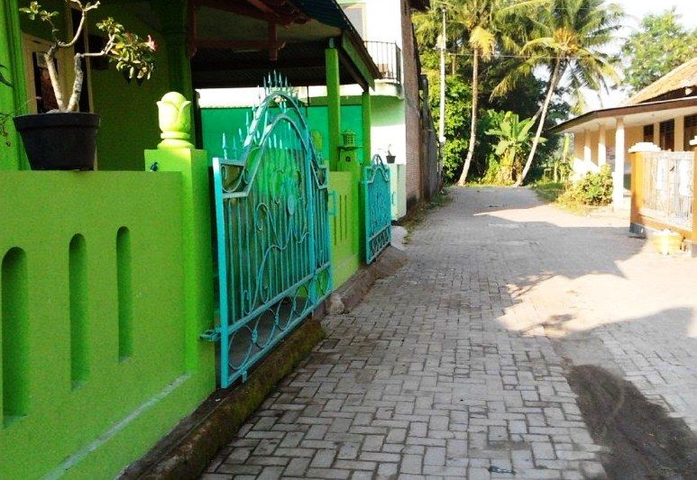 35 kombinasi  warna  cat  pagar  rumah  minimalis hijau  ungu 