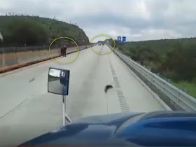 VIDEO: Sicarios quitan vehículo a familia en autopista Nuevo Laredo - Monterrey y balean a trailero