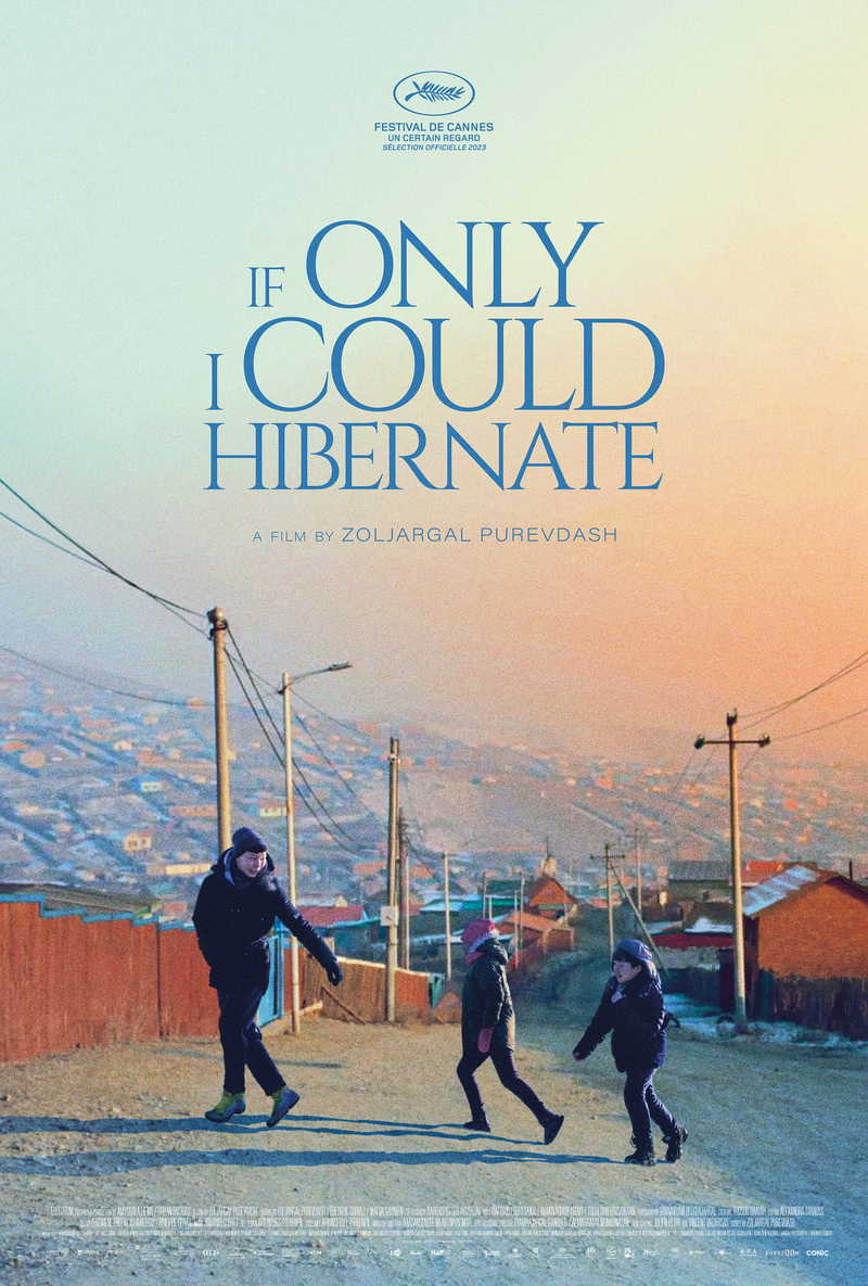 IF ONLY I COULD HIBERNATE poster