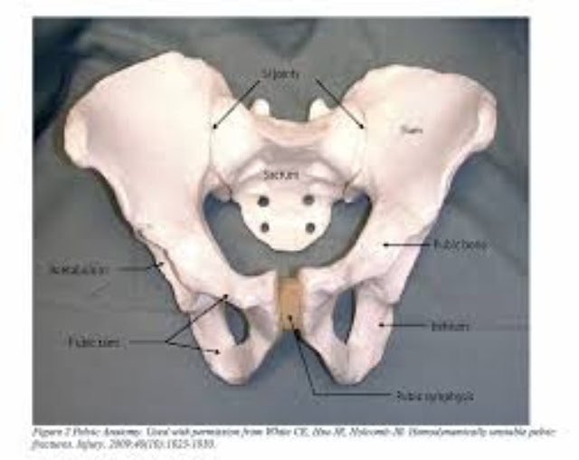 Tips For Applying A Pelvic Binder Tips For Applying A Pelvic Binder
