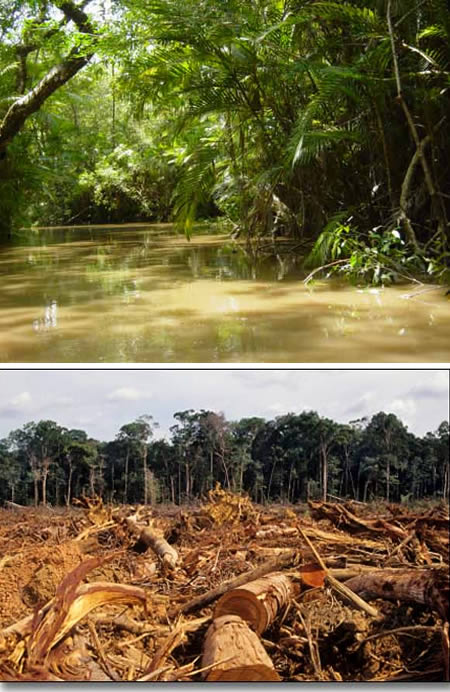 Global Warming Dan Akibatnya [ www.BlogApaAja.com ]