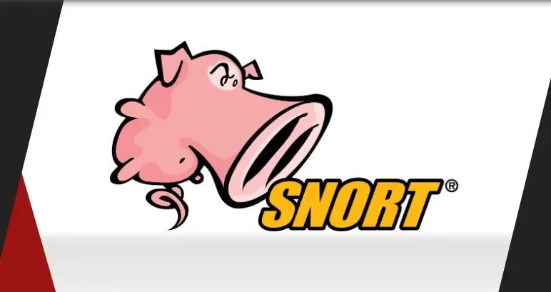 Snort - Free and Open Source Network Intrusion Detection System (NIDS)