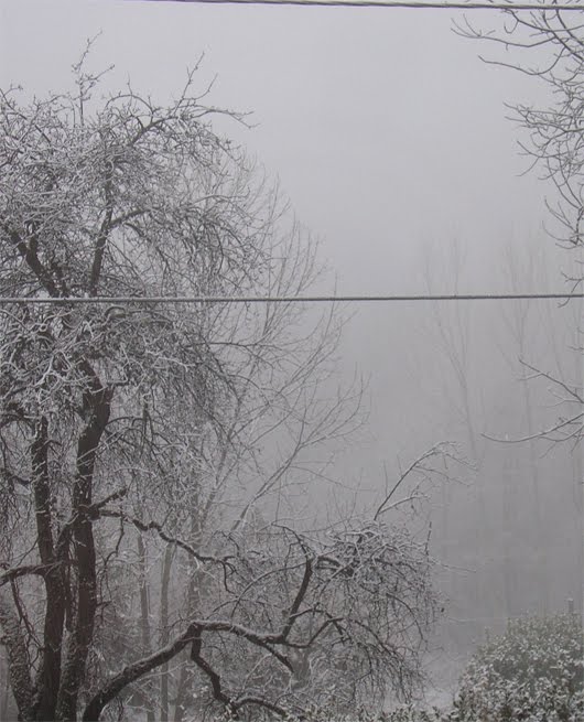 nebbia e neve