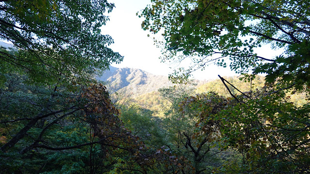 鳥取県西伯郡大山町大山 行者登山道