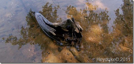 Croft State Park -Spartanburg SC 010