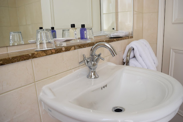 the bathroom sink area of the hotel room