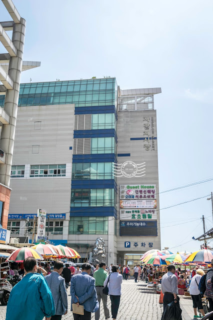 Jagalchi Fish Seafood Market South Korea Busan