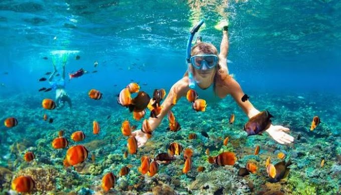 Snorkelling in Andaman | Popular Water Sports in Andaman