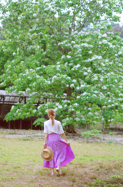 雲林古坑荷苞山桐花公園四月雪油桐花盛開，散步近距離賞花拍照