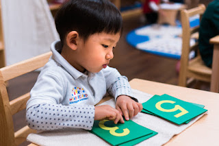 https://wonderlandmontessori.com/