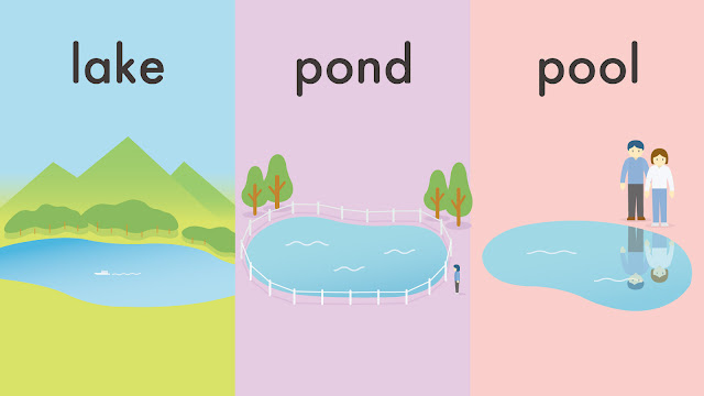 lake と pond と pool の違い