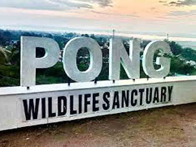 पोंग बाँध वन्यजीव अभयारण्य |Pong Dam Lake Wildlife Sanctuary