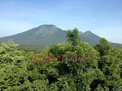 Taman Nasional Baluran Situbondo Jawa Timur