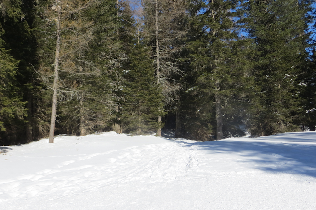 cinque torri averau nuvolau inverno ciaspole