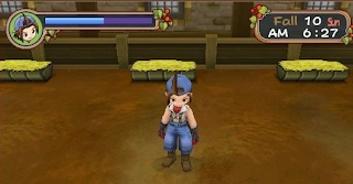 Cheat Harvest Moon Hero of Leaf Valley PPSSPP 