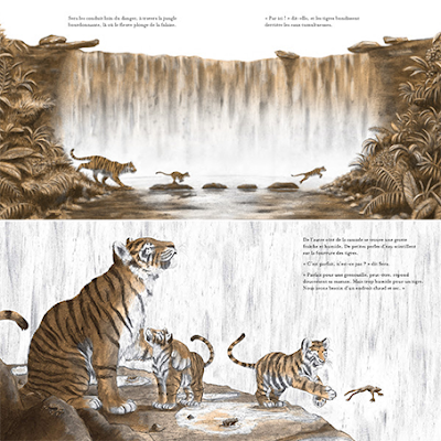 Petits tigres,livre pour enfant sur la migration et l'amour maternel, editions  kaleidoscope, de jo weaver petite baleine tigre, tiger