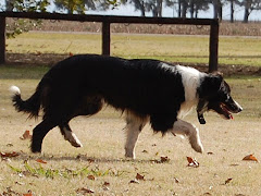 PAMPA