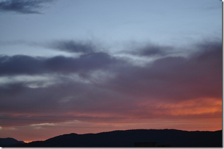 DSC_0019