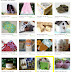 Treasury Listing So Clean, So Green by Simply Smitten