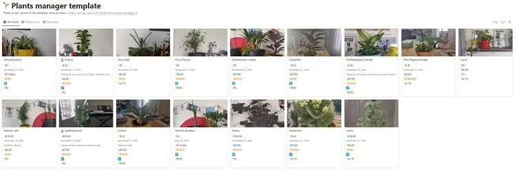 House Plant Manager Notion Template