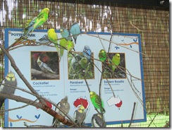 2010-06-ZooBirds01