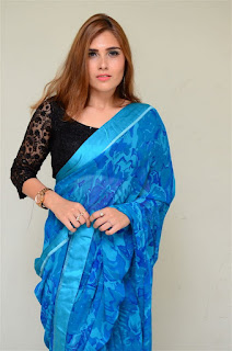 Alexius Macleod Blue Saree Pictures