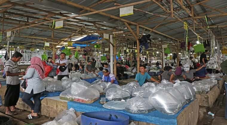 pasar eropa buka jam berapa