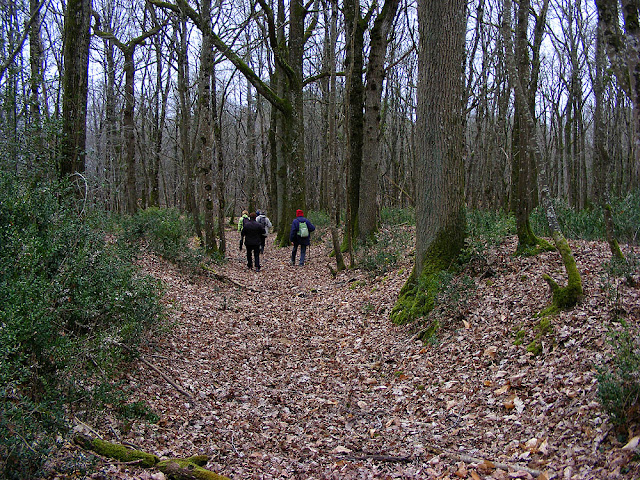 Photographed by Susan from Loire Valley Time Travel. https://tourtheloire.com