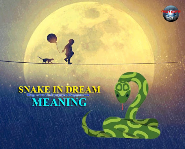 Snake in Dream Meaning | Mơ thấy Rắn nghĩa là gì