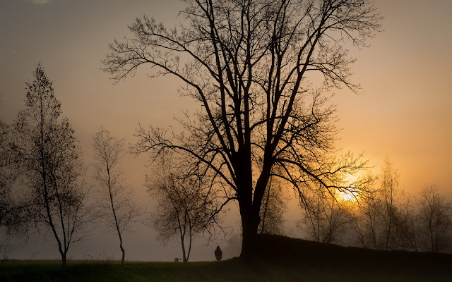 Niebla Puesta de Sol Paisajes Naturales