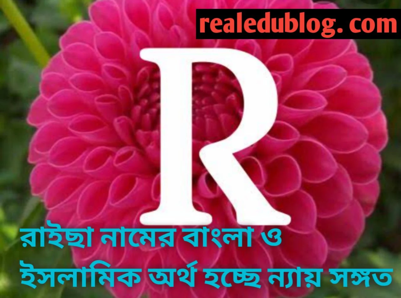 Raicha name meaning in Bengali, Raicha name meaning, রাইছা নামের অর্থ কি, Raicha namer ortho ki, রাইছা নামের বাংলা অর্থ কি, রাইছা নামের ইসলামিক অর্থ কি, রাইছা নামের আরবি অর্থ কি, রাইছা নামটি কি আরবী নাম, রাইছা নামটি কি ইসলামিক নাম