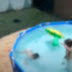Flagrante: menino salva irmã de um ano que se afogava em piscina; assista