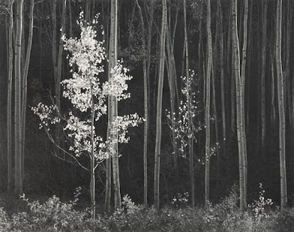 Ansel Adams