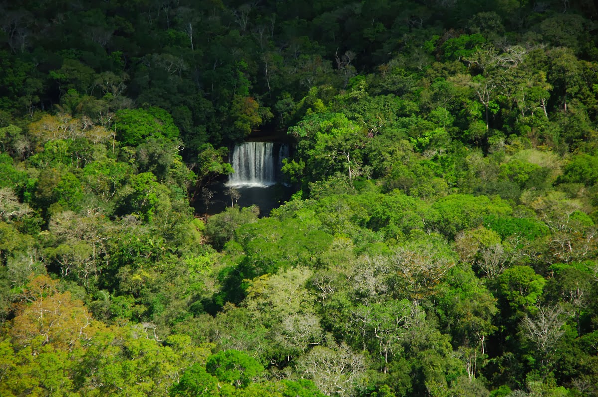 Biodiversidade da Amazônia