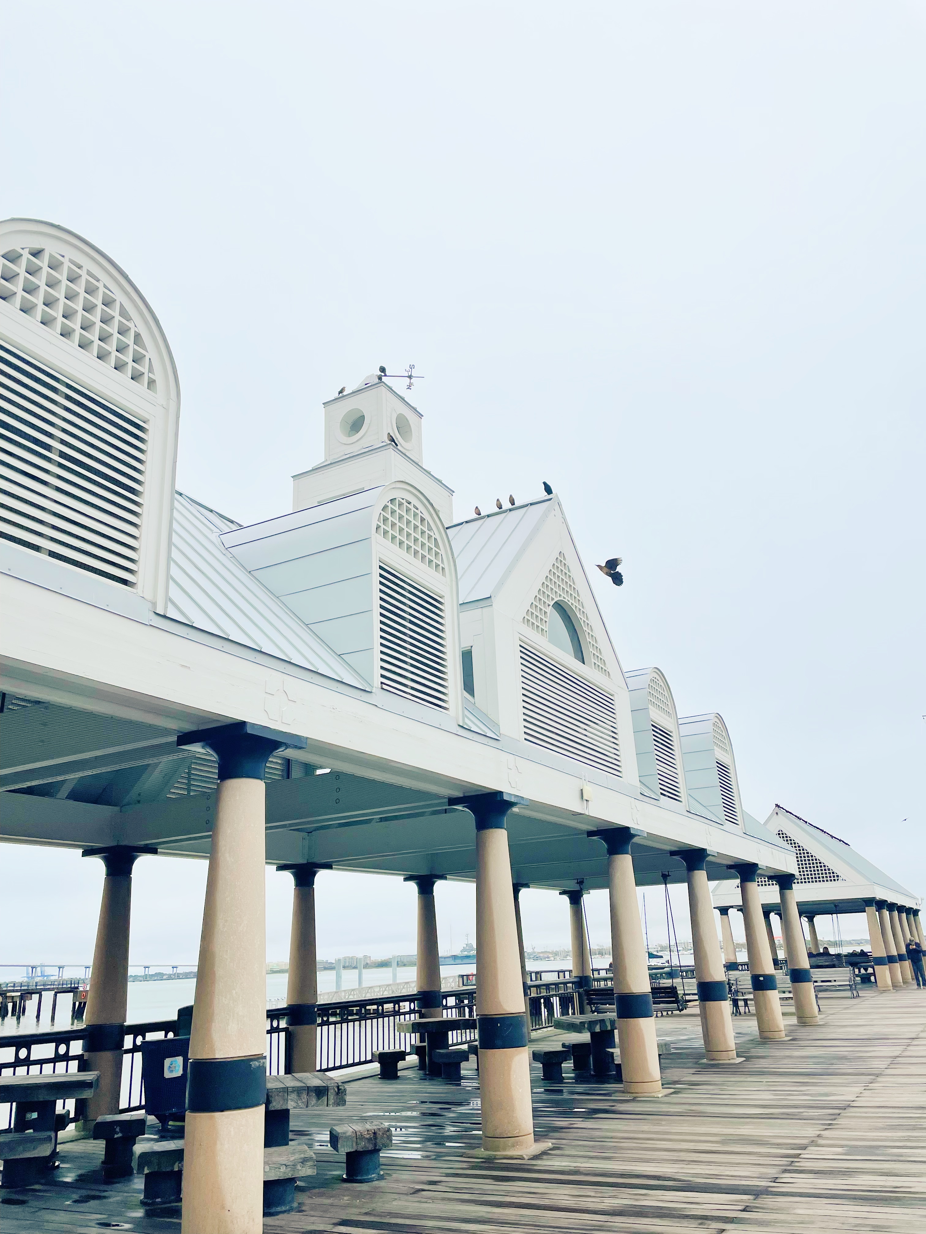 charleston-waterfront-park-pier-the-Kristen-Diary-blog