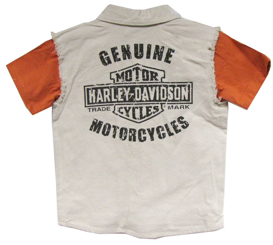 http://www.adventureharley.com/harley-davidson-toddler-boys-blow-out-shirt