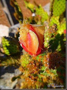 P1170386