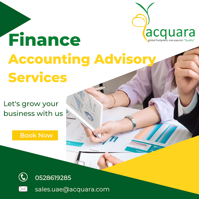 Financial Accounting Advisory Services