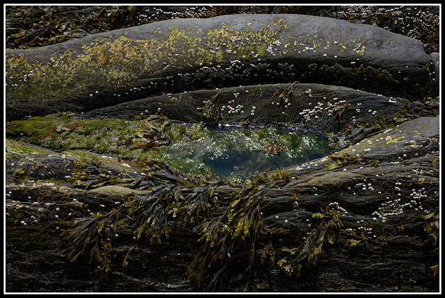 Risser's Beach; Nova Scotia; Atlantic Maritimes