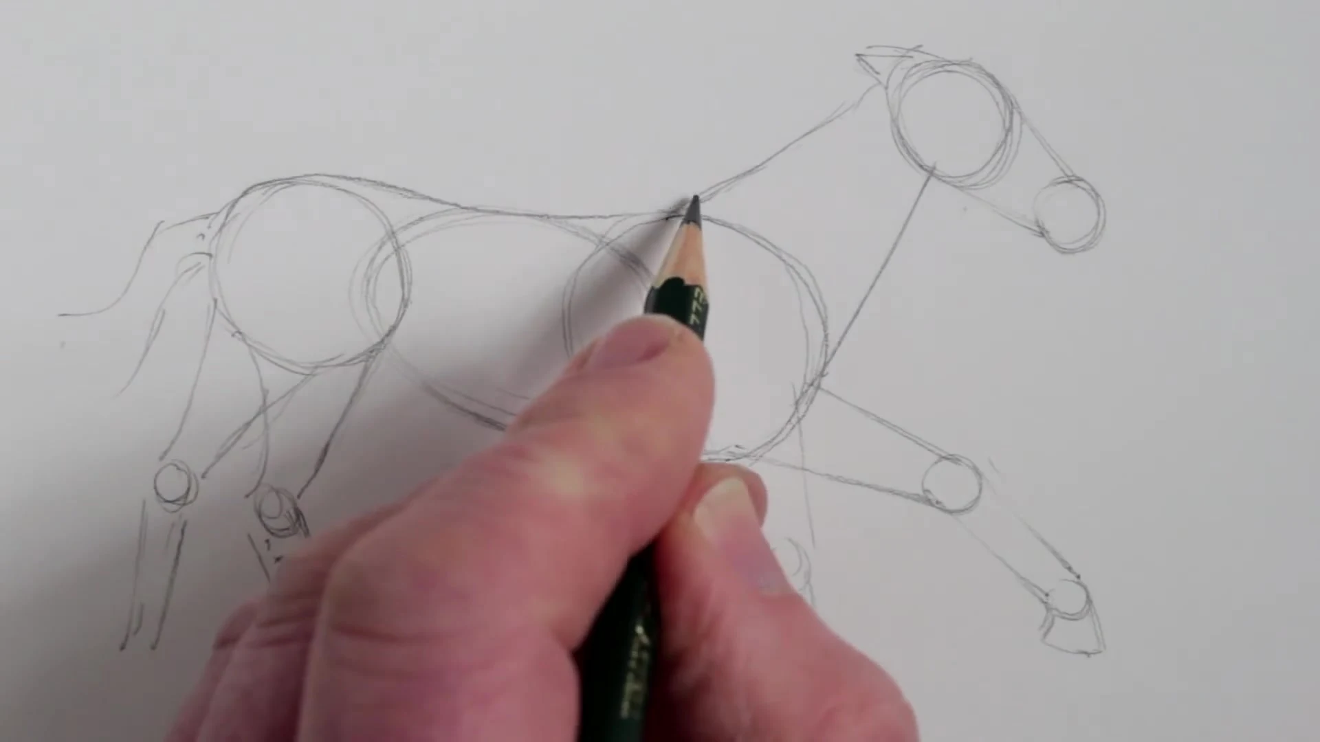 رسم حصان بالرصاص