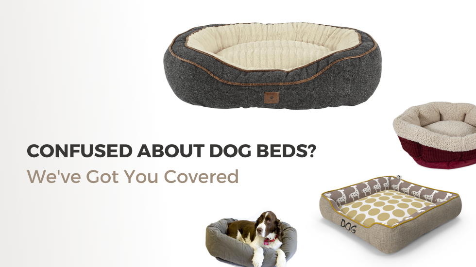 Confused About Dog Beds We've Got You Covered