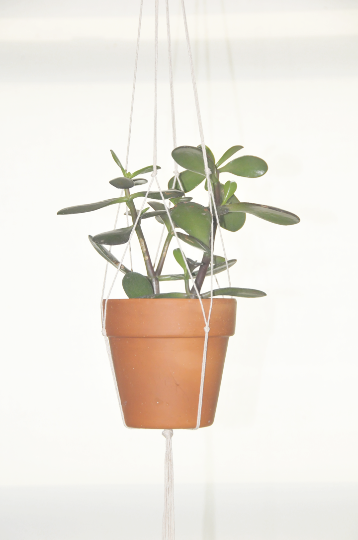 a daily something: diy | hanging plant holder