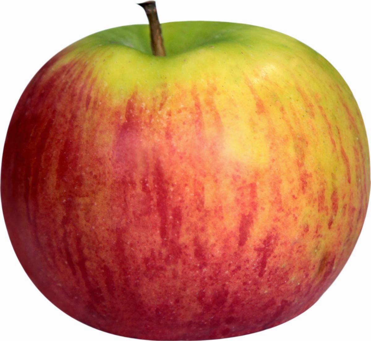  Gambar  Buah  Apel Segar Aku Buah  Sehat